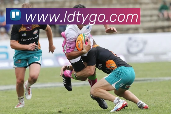 乐动体育APP 封面图